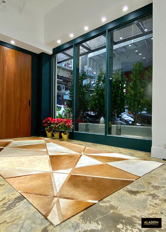 【ALADDIN艾丁】 阿里